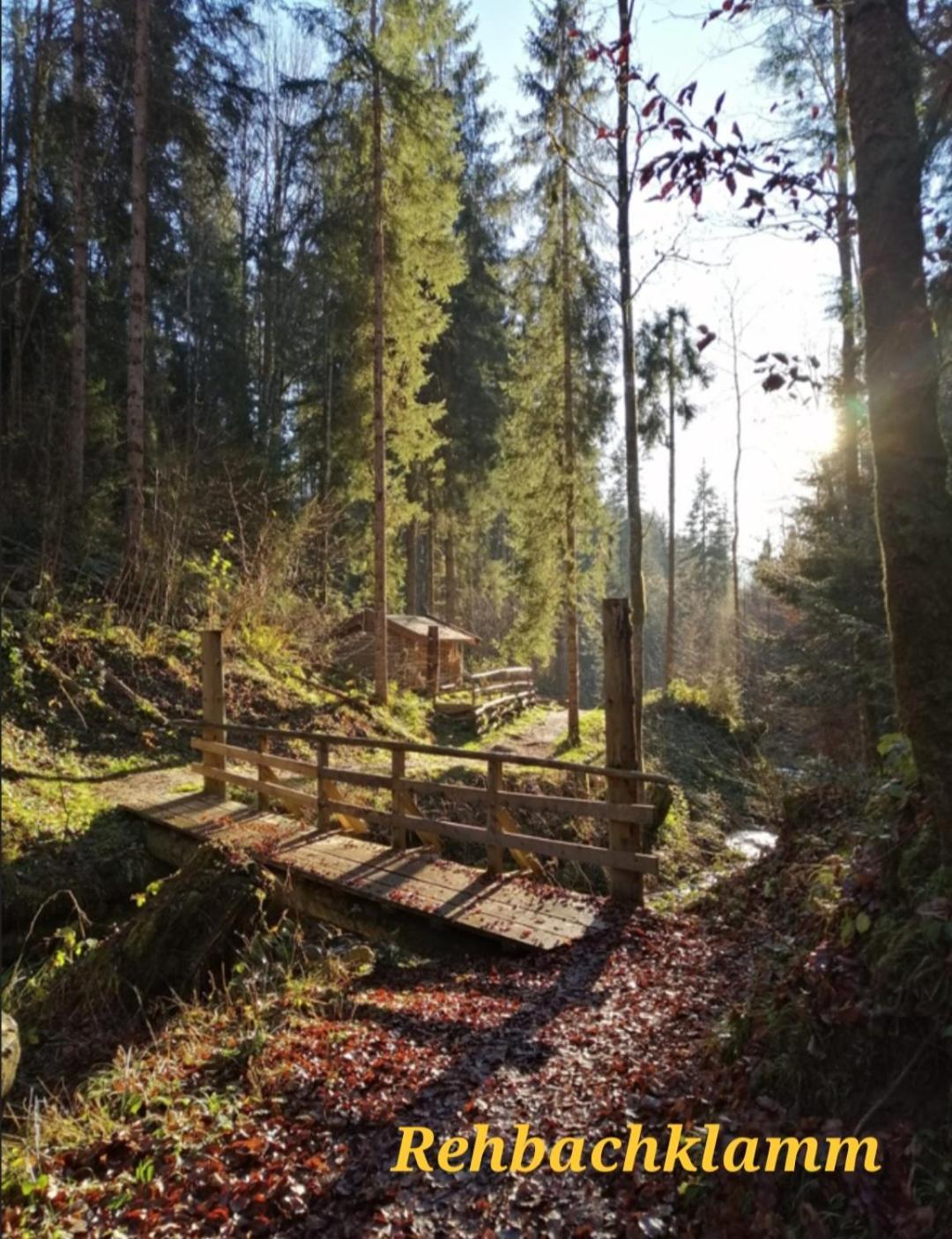 Ferienwohnung Sappl Scheffau am Wilden Kaiser Buitenkant foto